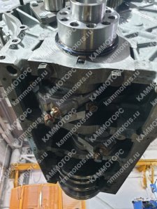 kammotors.ru